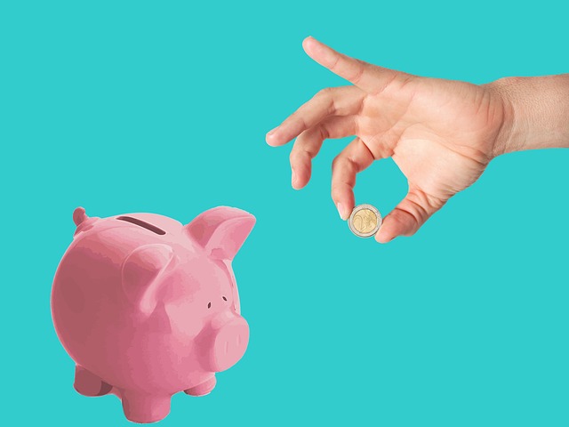 savings, piggy, bank, money, coin, euro, hand, save, cash, personal, finance, deposit, budget, budget, budget, budget, budget, budget